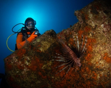 Underwater-19